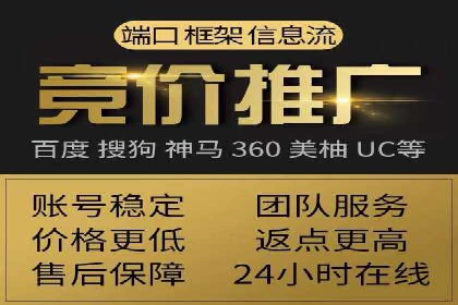 探索百度推广托管的奥秘：成功案例揭秘